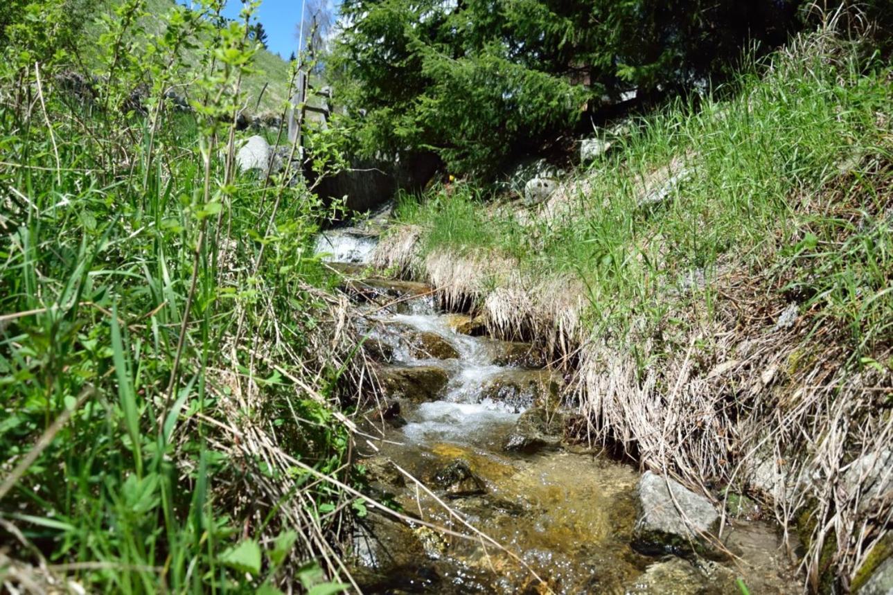 הוילה Rio di Pusteria Traterhof-Spinges מראה חיצוני תמונה